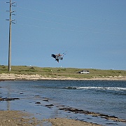 Picture 245